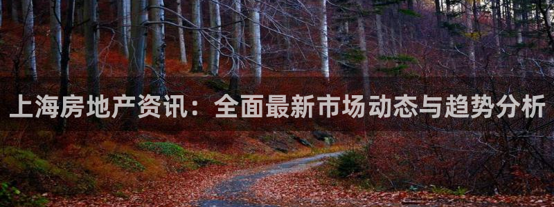新宝5平棋牌：上海房地产资讯：全面最新市场动态与趋势分析
