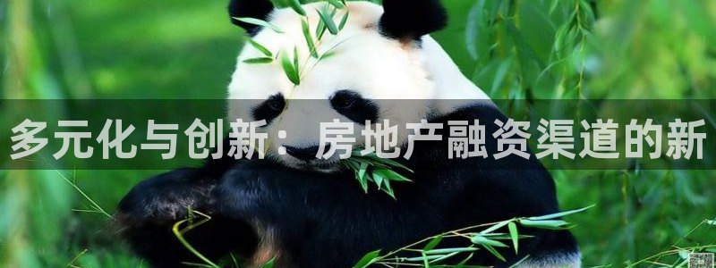 新宝5下载 迅雷下载：多元化与创新：房地产融资渠道的新