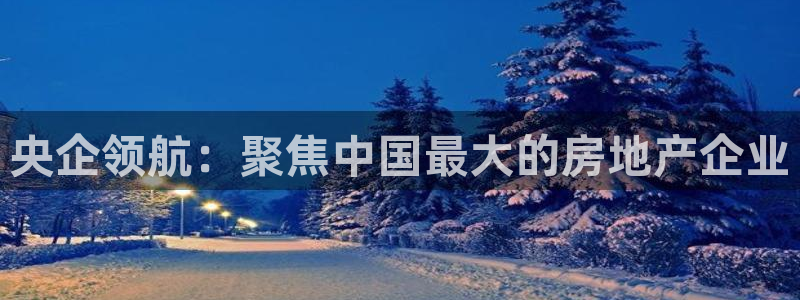新宝5娱乐多：央企领航：聚焦中国最大的房地产企业