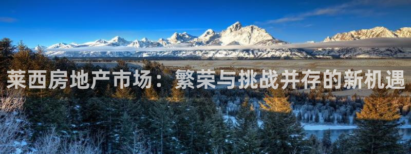 新宝5源码：莱西房地产市场：繁荣与挑战并存的新机遇