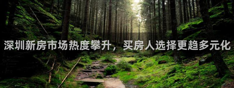 新宝5现在还能玩吗：深圳新房市场热度攀升，买房人选择更趋多元