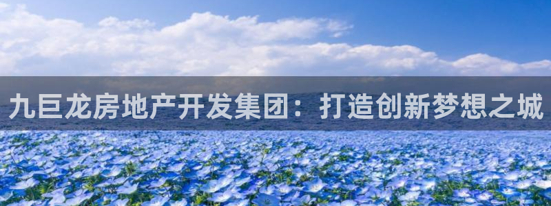 新宝5公司：九巨龙房地产开发集团：打造创新梦想之城