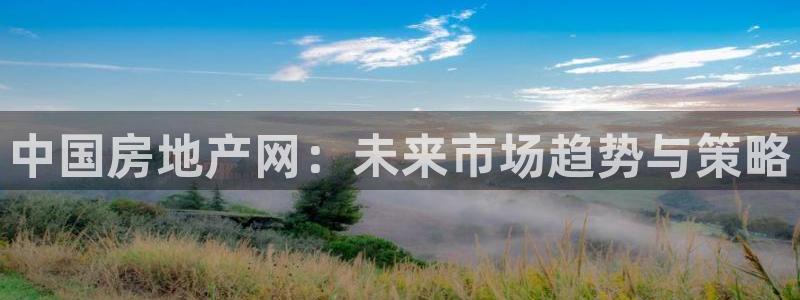 新宝5 唯一：中国房地产网：未来市场趋势与策略