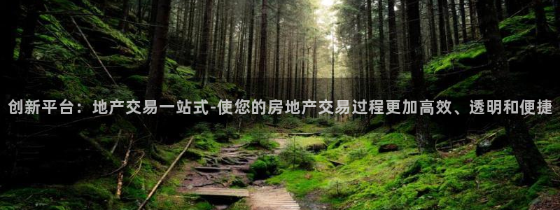 新宝速5：创新平台：地产交易一站式-使您的房地产交易过程更加