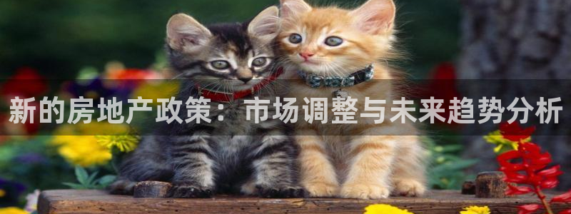 新宝5d：新的房地产政策：市场调整与未来趋势分析