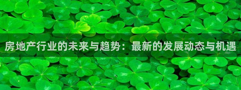 新宝速5：房地产行业的未来与趋势：最新的发展动态与机遇