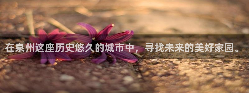 新宝j2O5O5O：在泉州这座历史悠久的城市中，寻找未来的美