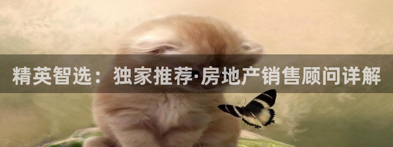 新宝G5：精英智选：独家推荐·房地产销售顾问详解