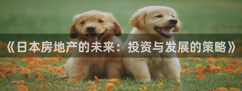 新宝5娱乐登录：《日本房地产的未来：投资与发展的策略》