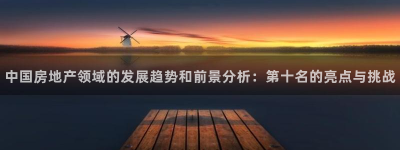 新宝5下载注册：中国房地产领域的发展趋势和前景分析：第十名的
