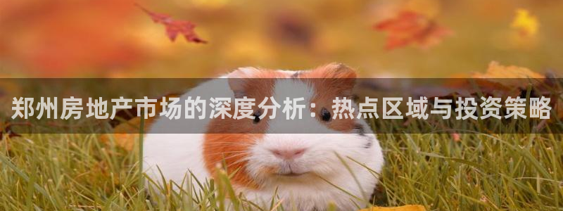新宝5手机测速：郑州房地产市场的深度分析：热点区域与投资策略