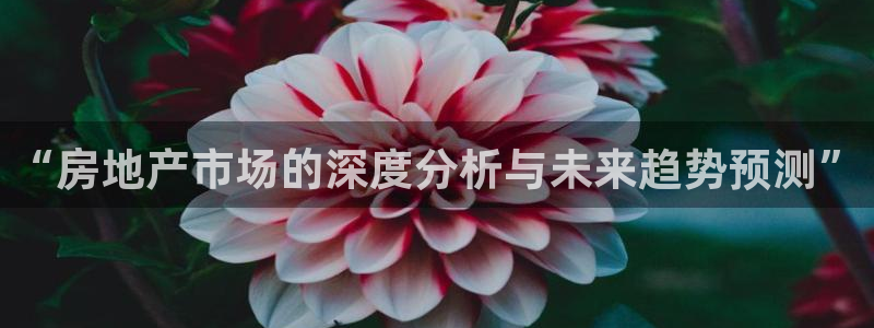 新宝5台卡：“房地产市场的深度分析与未来趋势预测”