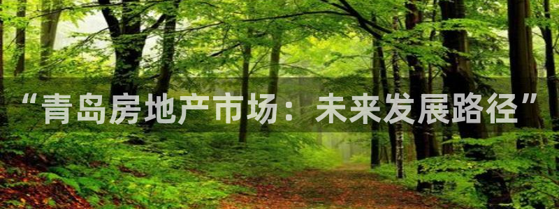 新宝5下载：“青岛房地产市场：未来发展路径”