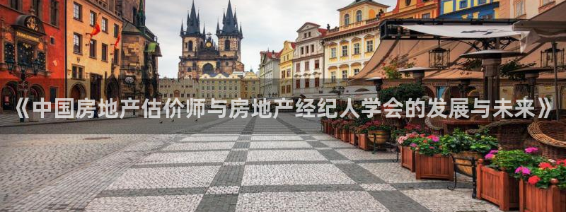 皇冠新宝5：《中国房地产估价师与房地产经纪人学会的发展与未来