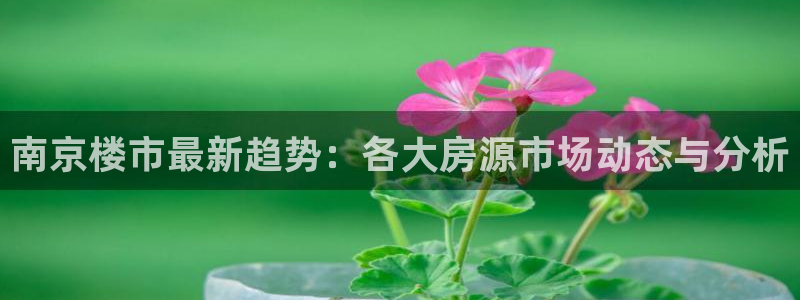 新宝5官方网站：南京楼市最新趋势：各大房源市场动态与分析