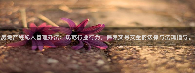 新宝5娱乐登录：房地产经纪人管理办法：规范行业行为，保障交易