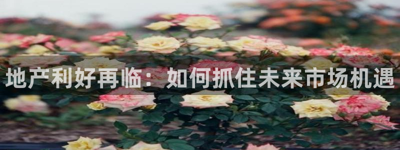 新宝5郑74OOO5：地产利好再临：如何抓住未来市场机遇