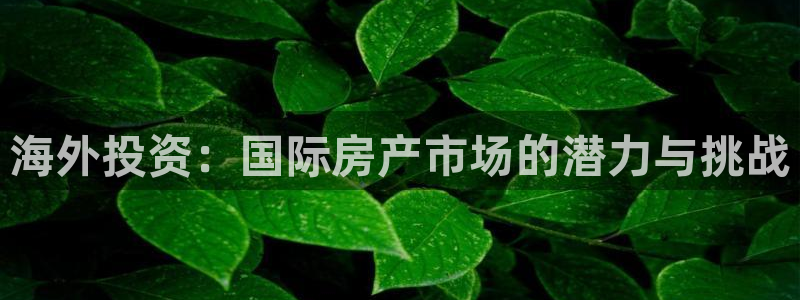 新宝5秒开：海外投资：国际房产市场的潜力与挑战
