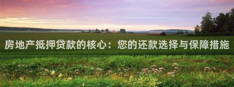 新宝5娱乐如：房地产抵押贷款的核心：您的还款选择与保障措施