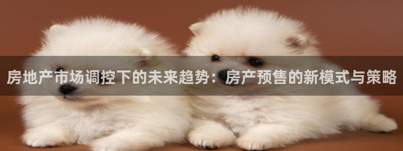 新宝5地址：房地产市场调控下的未来趋势：房产预售的新模式与策