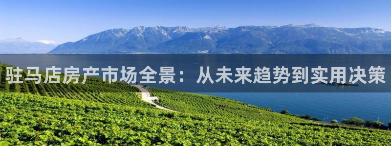 新宝5代理：驻马店房产市场全景：从未来趋势到实用决策