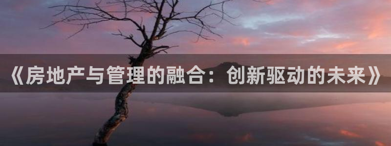 老新宝5授权登录：《房地产与管理的融合：创新驱动的未来》