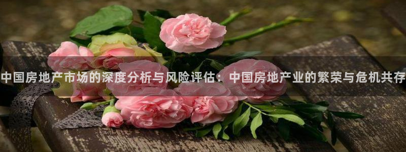 新宝5娱乐没：中国房地产市场的深度分析与风险评估：中国房地产