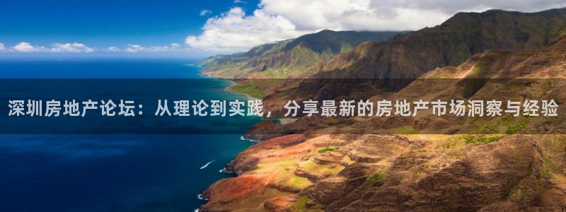 菲律宾新宝5老板：深圳房地产论坛：从理论到实践，分享最新的房