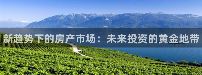 新宝5测速在线：新趋势下的房产市场：未来投资的黄金地带