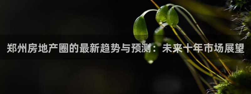 新宝5 注册：郑州房地产圈的最新趋势与预测：未来十年市场展望