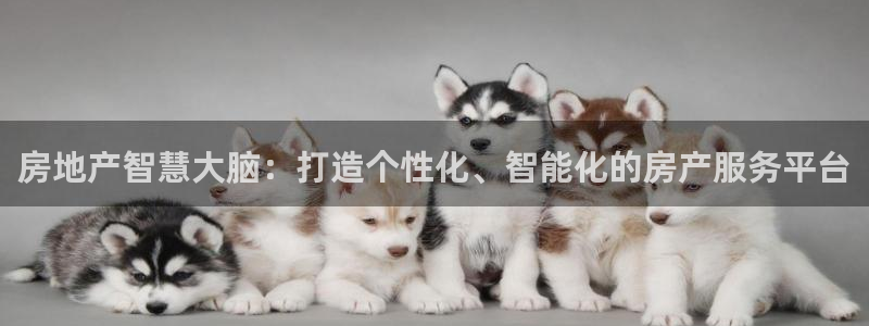 新宝5找找74OOO5：房地产智慧大脑：打造个性化、智能化的