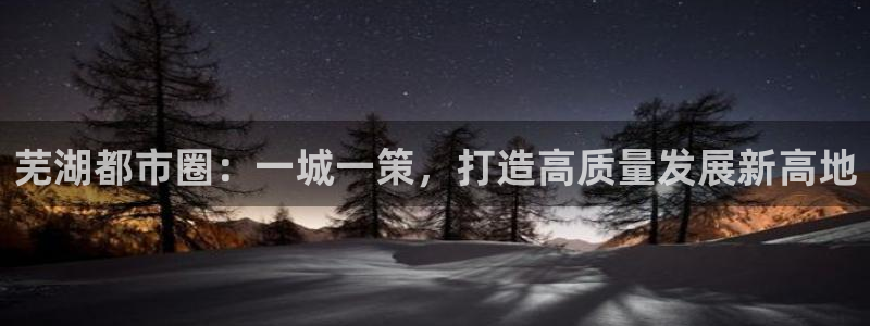 新宝测速5：芜湖都市圈：一城一策，打造高质量发展新高地