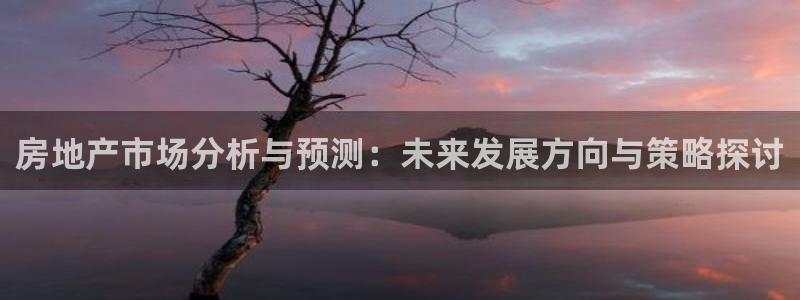 新宝5注册登录：房地产市场分析与预测：未来发展方向与策略探讨