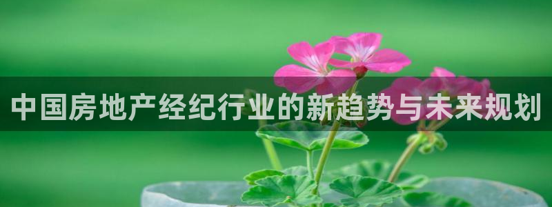 新宝5测速：中国房地产经纪行业的新趋势与未来规划