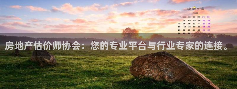 新宝堂新会陈皮5年：房地产估价师协会：您的专业平台与行业专家