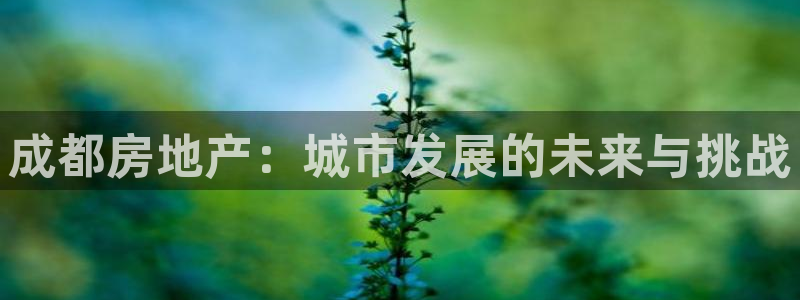 新宝5app手机下载：成都房地产：城市发展的未来与挑战