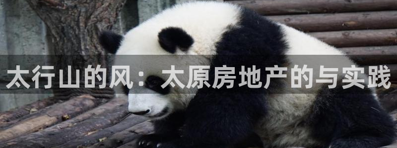 新宝5日：太行山的风：太原房地产的与实践