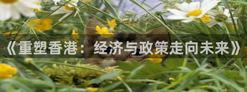 新宝5安卓版：《重塑香港：经济与政策走向未来》