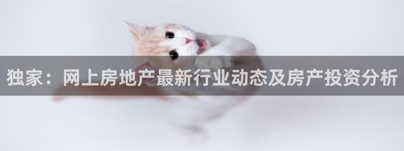 p5r新宝魔：独家：网上房地产最新行业动态及房产投资分析