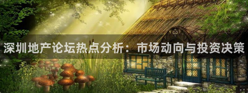新宝cR一5：深圳地产论坛热点分析：市场动向与投资决策