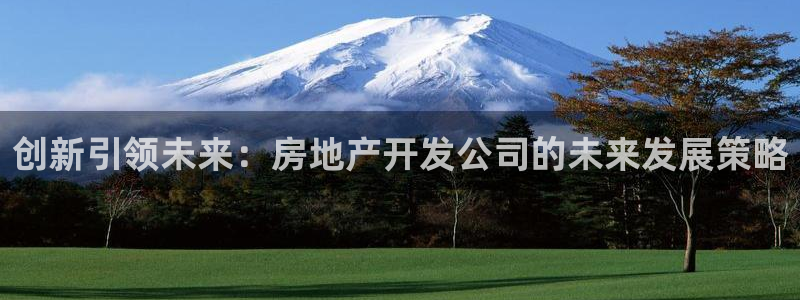 有人知道新宝5么：创新引领未来：房地产开发公司的未来发展策略