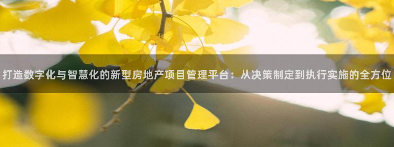 新宝_5：打造数字化与智慧化的新型房地产项目管理平台：从决策