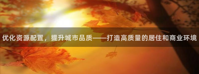 新宝h2O5O5O：优化资源配置，提升城市品质——打造高质量