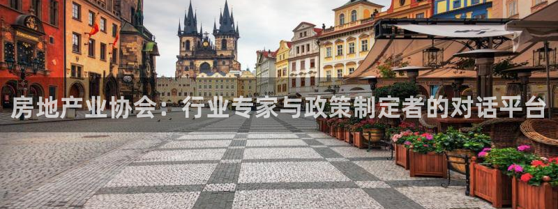 新宝5平台注册公司：房地产业协会：行业专家与政策制定者的对话