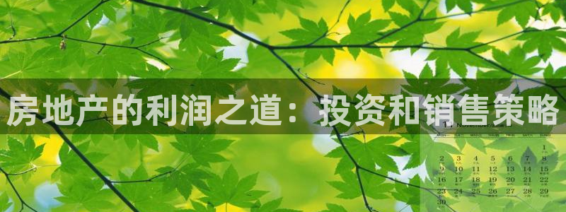 新宝5测速登陆：房地产的利润之道：投资和销售策略