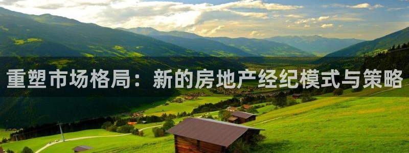 新宝5官网平台：重塑市场格局：新的房地产经纪模式与策略