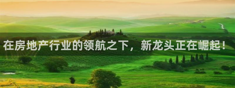 新宝5官方下载地址