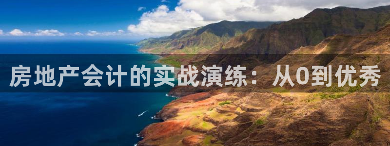 新宝那2O5O5O：房地产会计的实战演练：从0到优秀