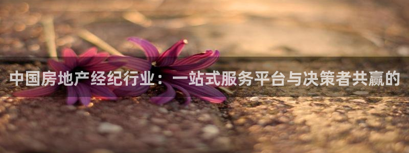 新宝5手机app：中国房地产经纪行业：一站式服务平台与决策者