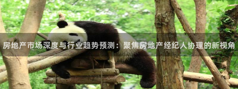 新宝5卫74OOO5：房地产市场深度与行业趋势预测：聚焦房地